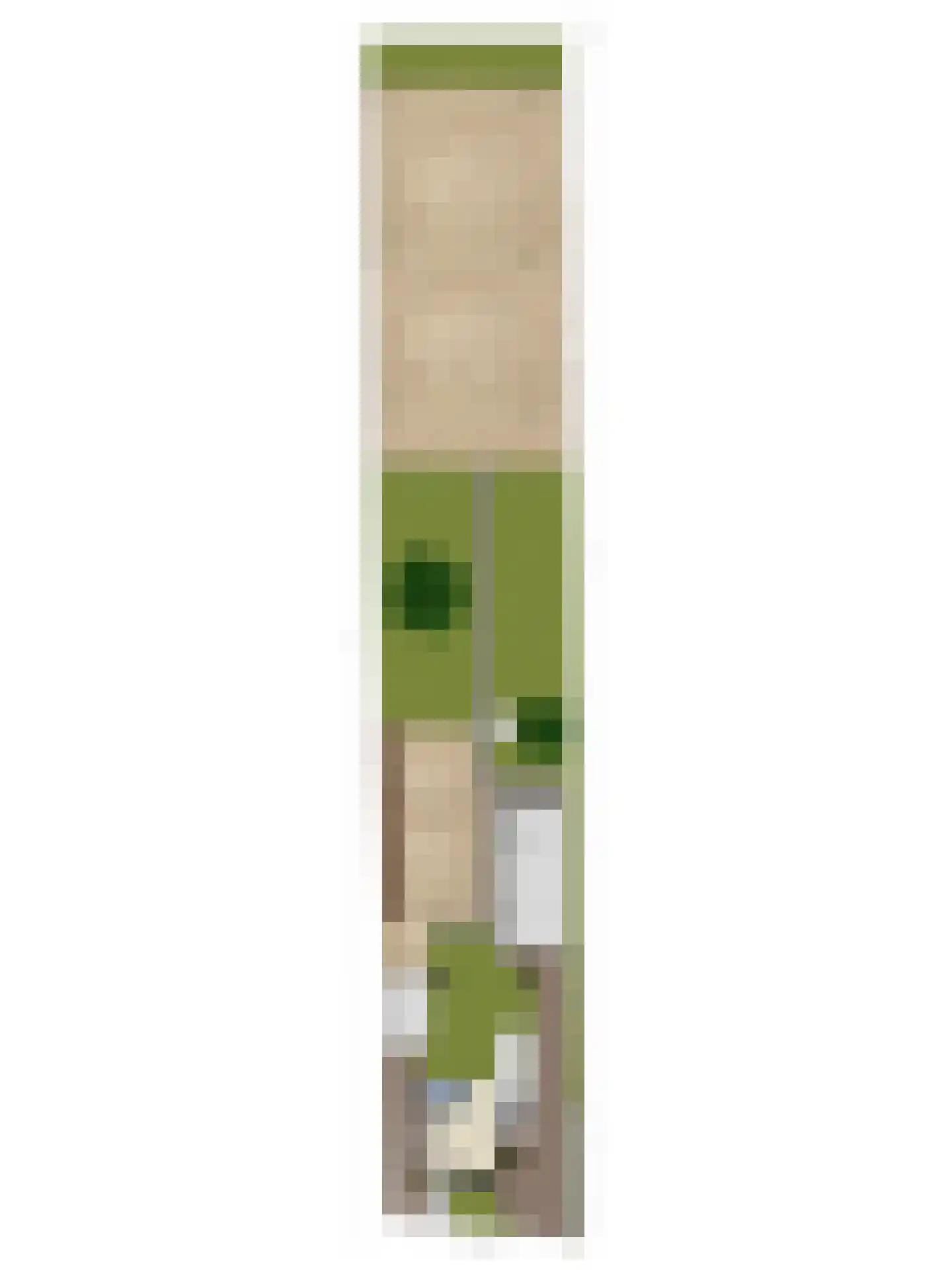 Boomgaarddreef 22 Stad aan 't Haringvliet thumbnail 41