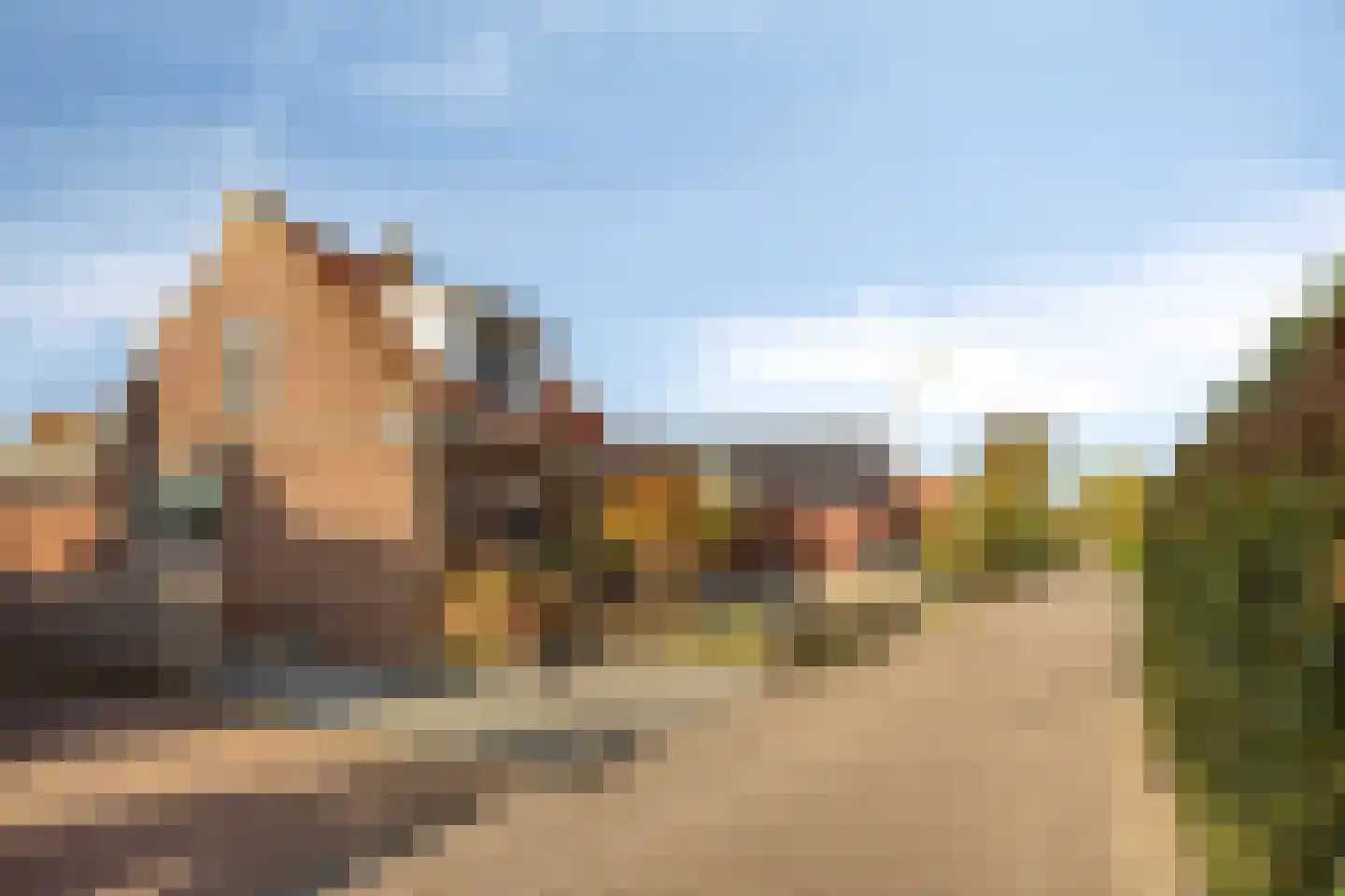 Boomgaarddreef 22 Stad aan 't Haringvliet thumbnail 7