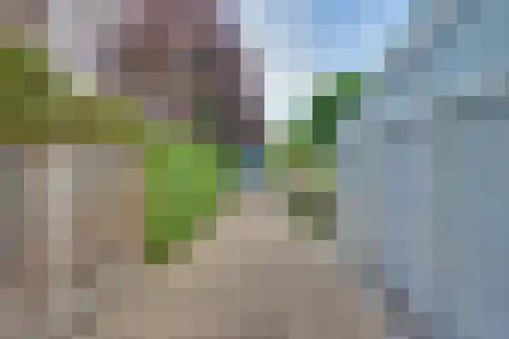Boomgaarddreef 3 Stad aan 't Haringvliet thumbnail 10