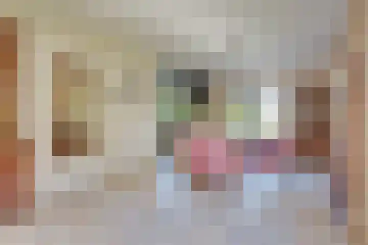 Boomgaarddreef 3 Stad aan 't Haringvliet thumbnail 13