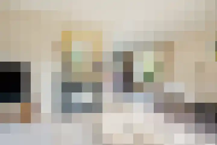 Boomgaarddreef 3 Stad aan 't Haringvliet thumbnail 16