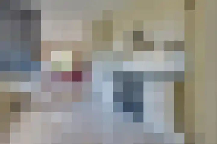 Boomgaarddreef 3 Stad aan 't Haringvliet thumbnail 26