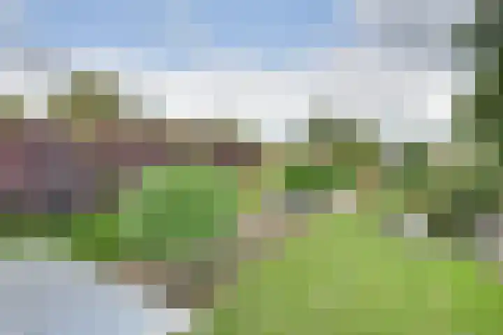 Boomgaarddreef 3 Stad aan 't Haringvliet foto 3