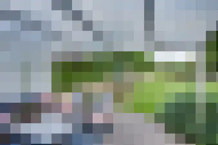 Boomgaarddreef 3 Stad aan 't Haringvliet thumbnail 48