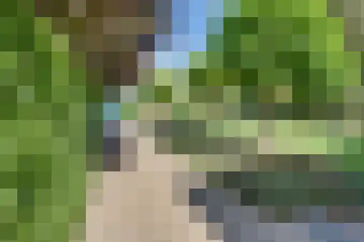 Boomgaarddreef 3 Stad aan 't Haringvliet thumbnail 49
