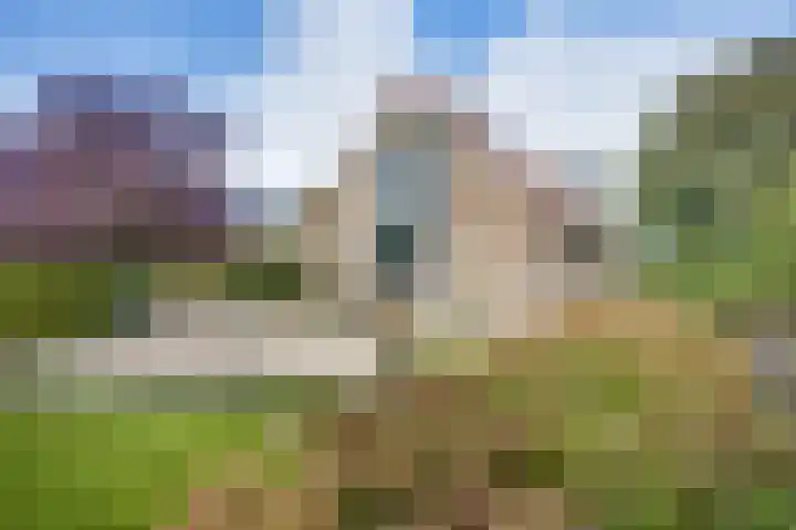 Boomgaarddreef 3 Stad aan 't Haringvliet thumbnail 5