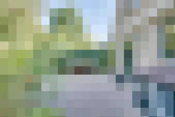 Boomgaarddreef 3 Stad aan 't Haringvliet thumbnail 50