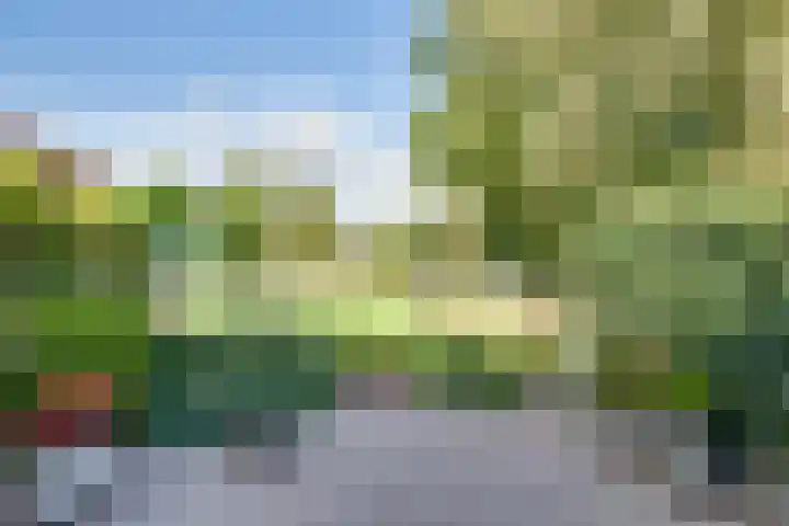 Boomgaarddreef 3 Stad aan 't Haringvliet thumbnail 51