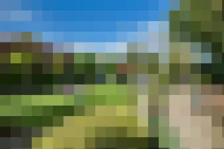Boomgaarddreef 3 Stad aan 't Haringvliet thumbnail 53