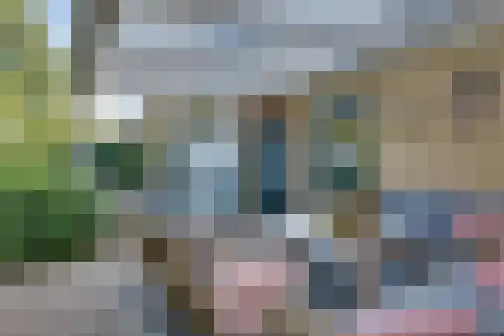 Boomgaarddreef 3 Stad aan 't Haringvliet thumbnail 55