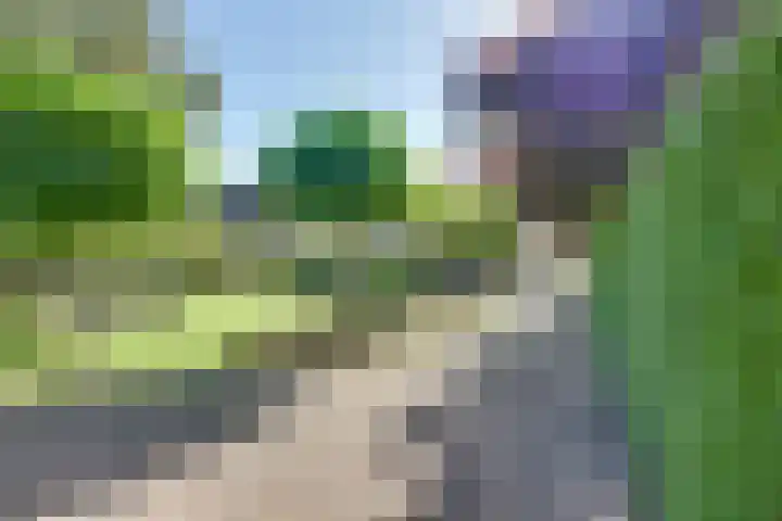 Boomgaarddreef 3 Stad aan 't Haringvliet thumbnail 56