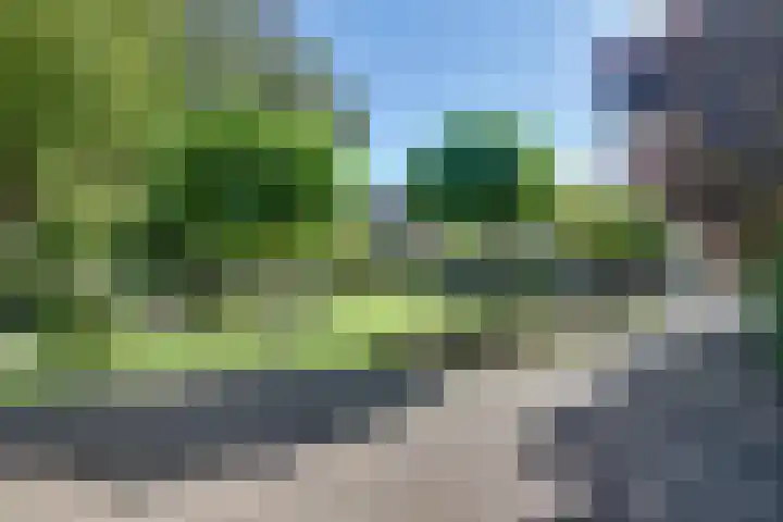 Boomgaarddreef 3 Stad aan 't Haringvliet thumbnail 57