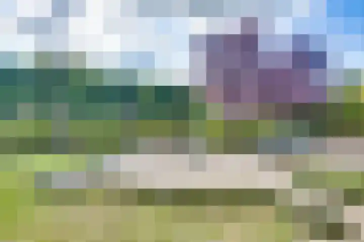 Boomgaarddreef 3 Stad aan 't Haringvliet thumbnail 6