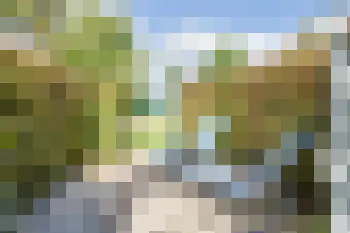 Boomgaarddreef 3 Stad aan 't Haringvliet thumbnail 60