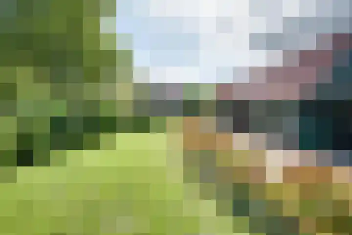 Boomgaarddreef 3 Stad aan 't Haringvliet thumbnail 61
