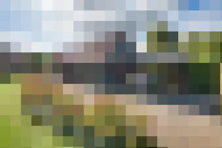 Boomgaarddreef 3 Stad aan 't Haringvliet thumbnail 62