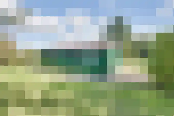 Boomgaarddreef 3 Stad aan 't Haringvliet thumbnail 63