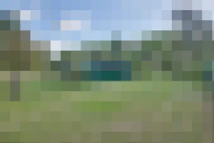 Boomgaarddreef 3 Stad aan 't Haringvliet thumbnail 64