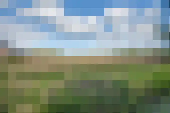 Boomgaarddreef 3 Stad aan 't Haringvliet thumbnail 65