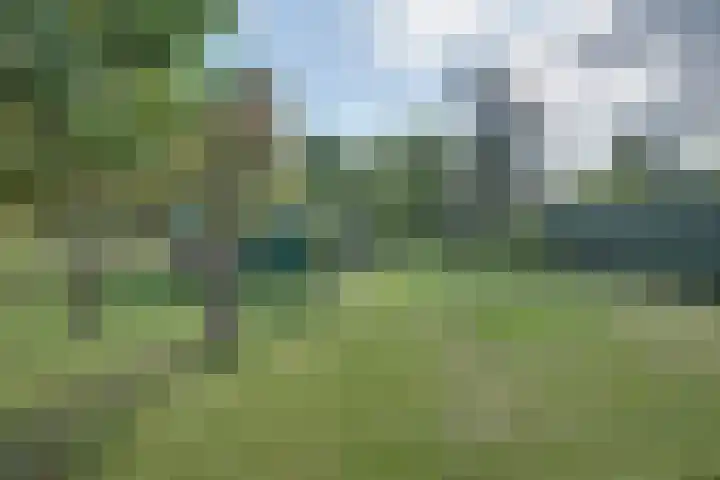 Boomgaarddreef 3 Stad aan 't Haringvliet thumbnail 66