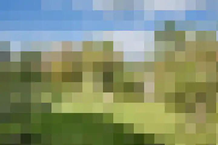 Boomgaarddreef 3 Stad aan 't Haringvliet thumbnail 67