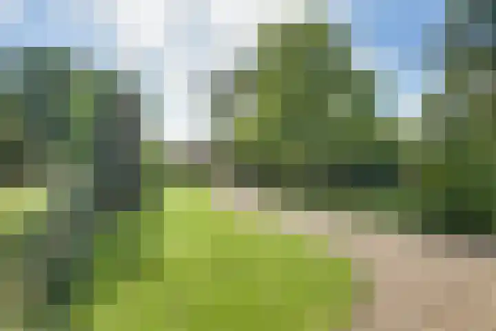 Boomgaarddreef 3 Stad aan 't Haringvliet thumbnail 68
