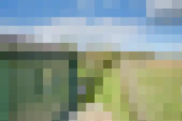 Boomgaarddreef 3 Stad aan 't Haringvliet thumbnail 69