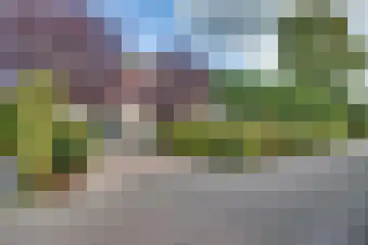 Boomgaarddreef 3 Stad aan 't Haringvliet thumbnail 7