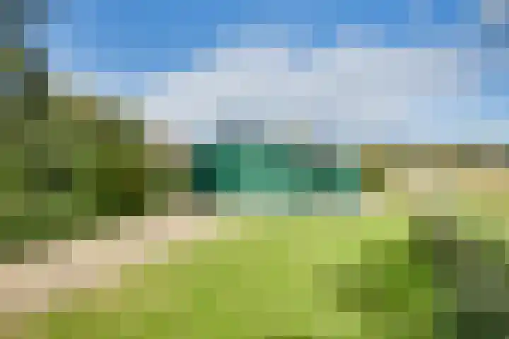 Boomgaarddreef 3 Stad aan 't Haringvliet thumbnail 70