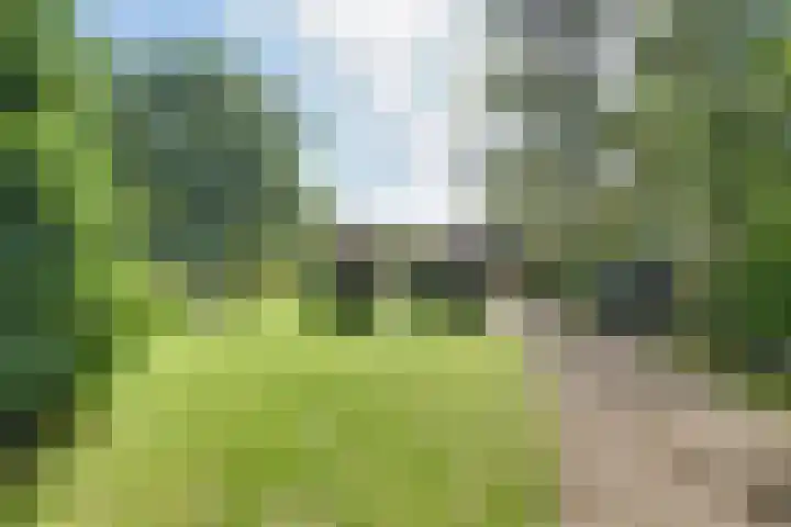 Boomgaarddreef 3 Stad aan 't Haringvliet thumbnail 71