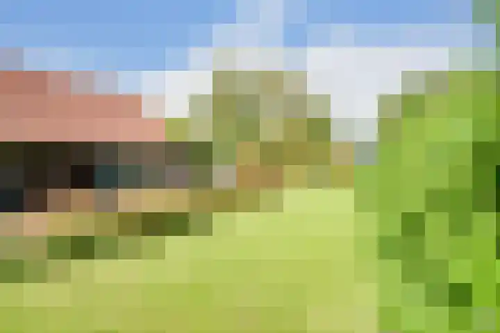 Boomgaarddreef 3 Stad aan 't Haringvliet thumbnail 74