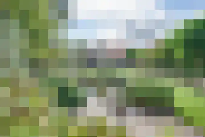 Boomgaarddreef 3 Stad aan 't Haringvliet thumbnail 75