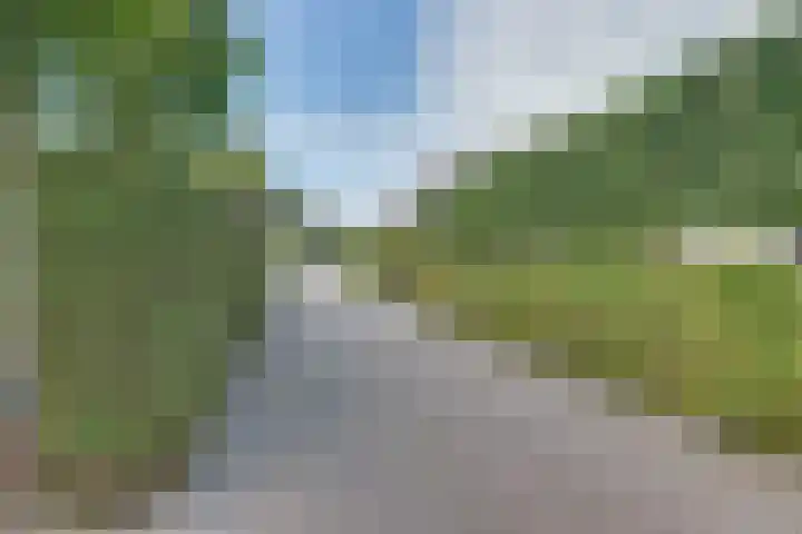 Boomgaarddreef 3 Stad aan 't Haringvliet thumbnail 8