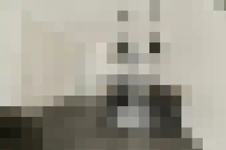 Boomgaarde 14 Hendrik-Ido-Ambacht thumbnail 10