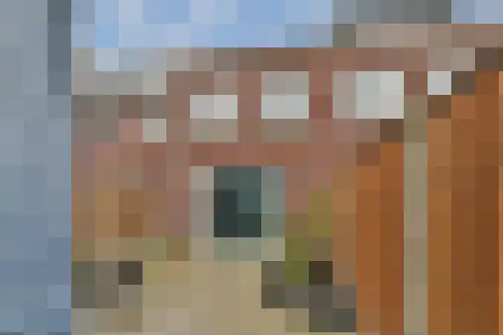 Boomgaarde 14 Hendrik-Ido-Ambacht thumbnail 17