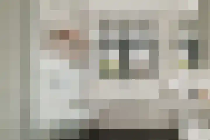 Boomgaarde 14 Hendrik-Ido-Ambacht thumbnail 22