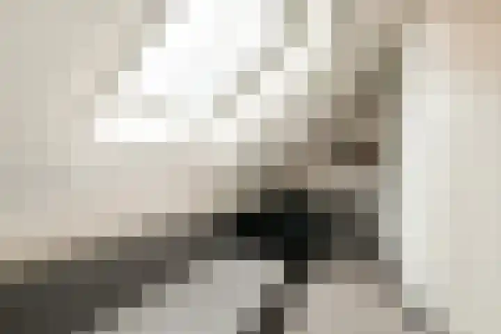 Boomgaarde 14 Hendrik-Ido-Ambacht thumbnail 28