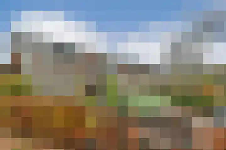 Boomgaarde 14 Hendrik-Ido-Ambacht thumbnail 37