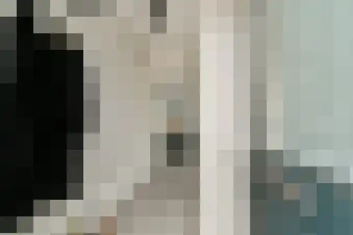 Boomgaarde 14 Hendrik-Ido-Ambacht thumbnail 7