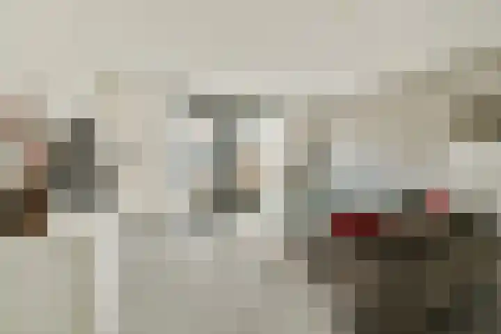 Boomgaarde 14 Hendrik-Ido-Ambacht thumbnail 8