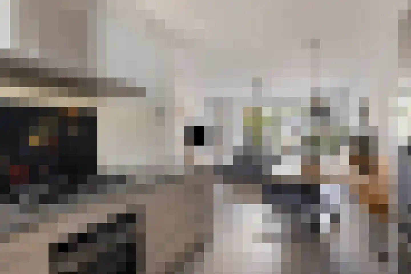 Boomgaarde 15 Hendrik-Ido-Ambacht thumbnail 12