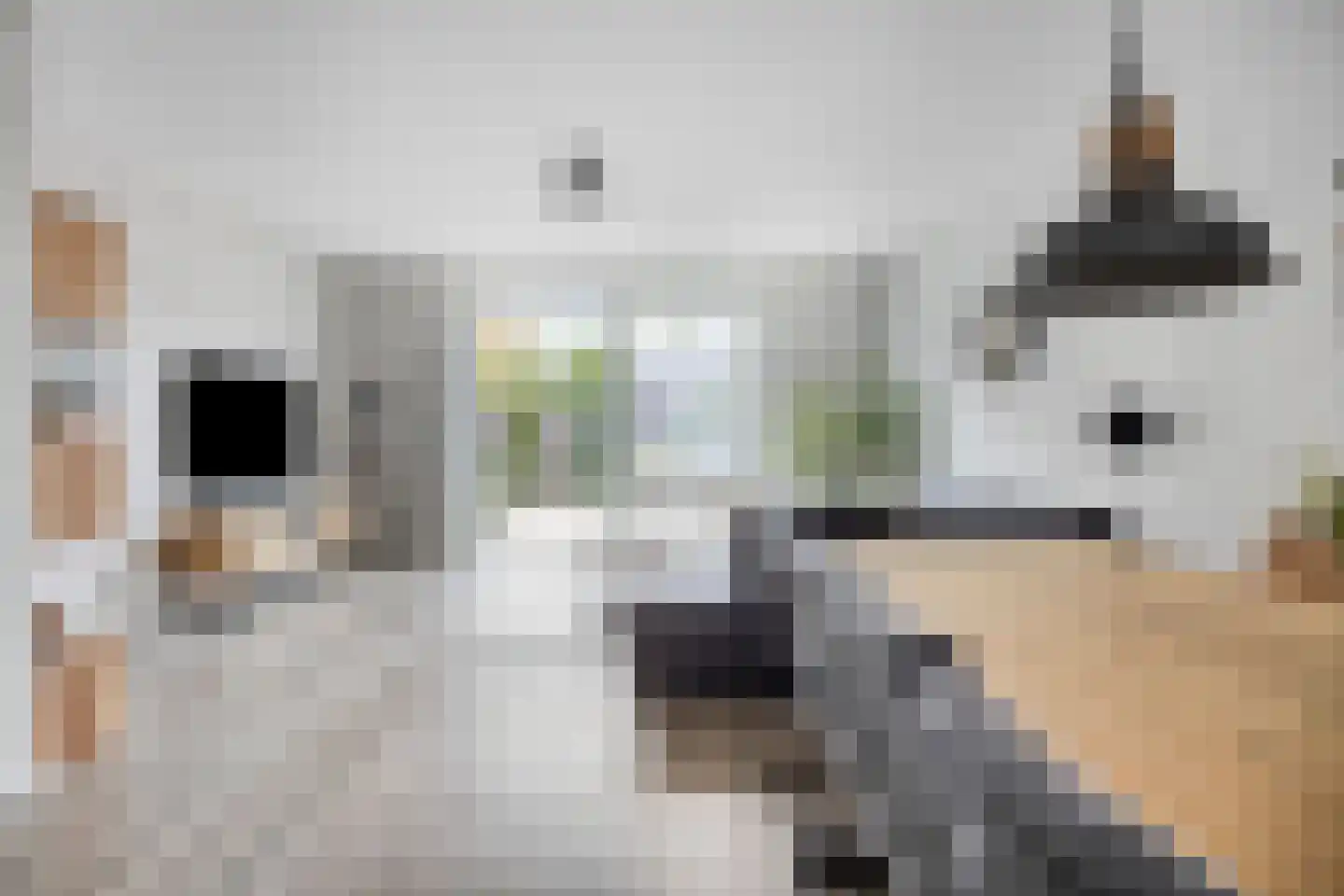 Boomgaarde 15 Hendrik-Ido-Ambacht thumbnail 13