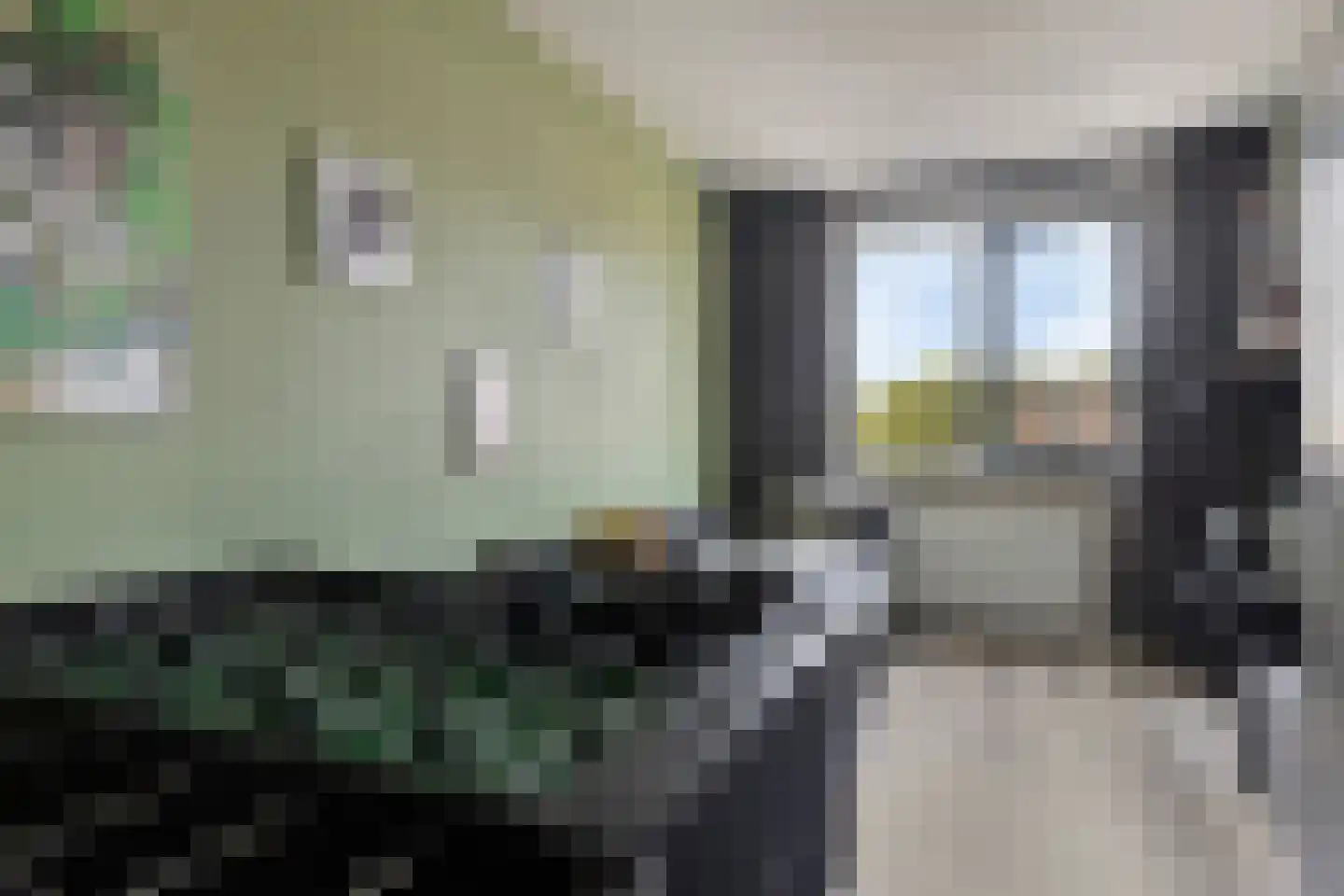 Boomgaarde 15 Hendrik-Ido-Ambacht thumbnail 16