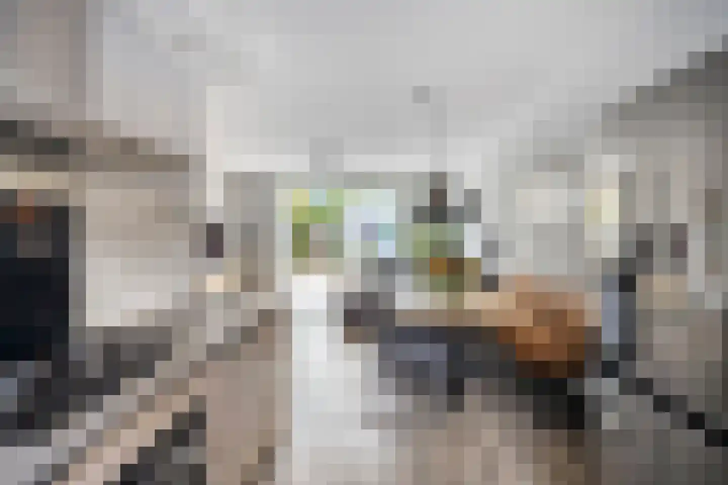 Boomgaarde 15 Hendrik-Ido-Ambacht thumbnail 18