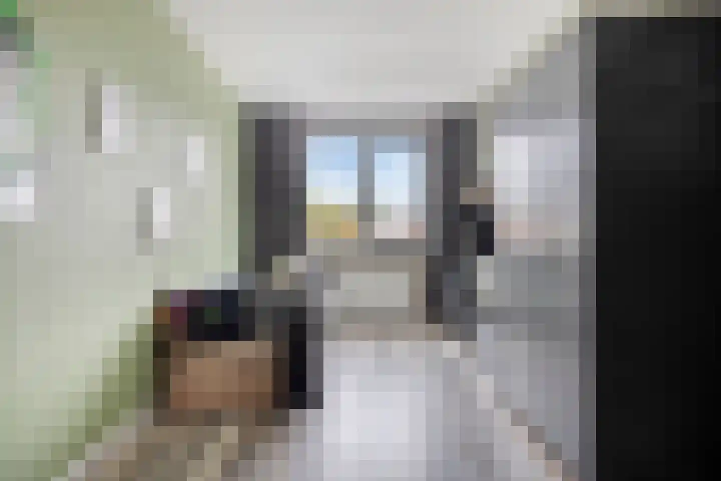 Boomgaarde 15 Hendrik-Ido-Ambacht thumbnail 20