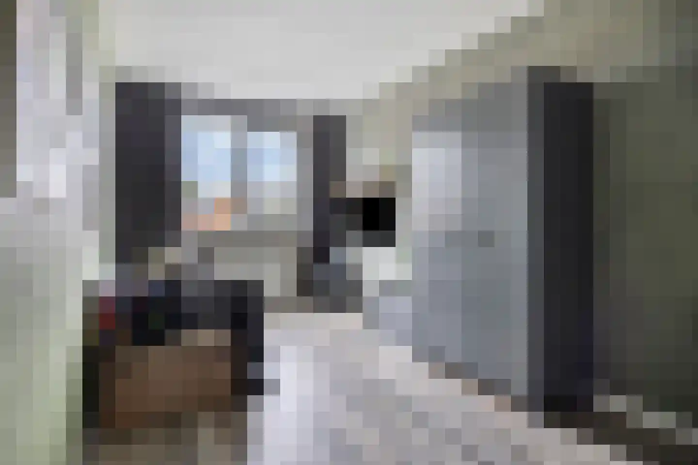 Boomgaarde 15 Hendrik-Ido-Ambacht thumbnail 21