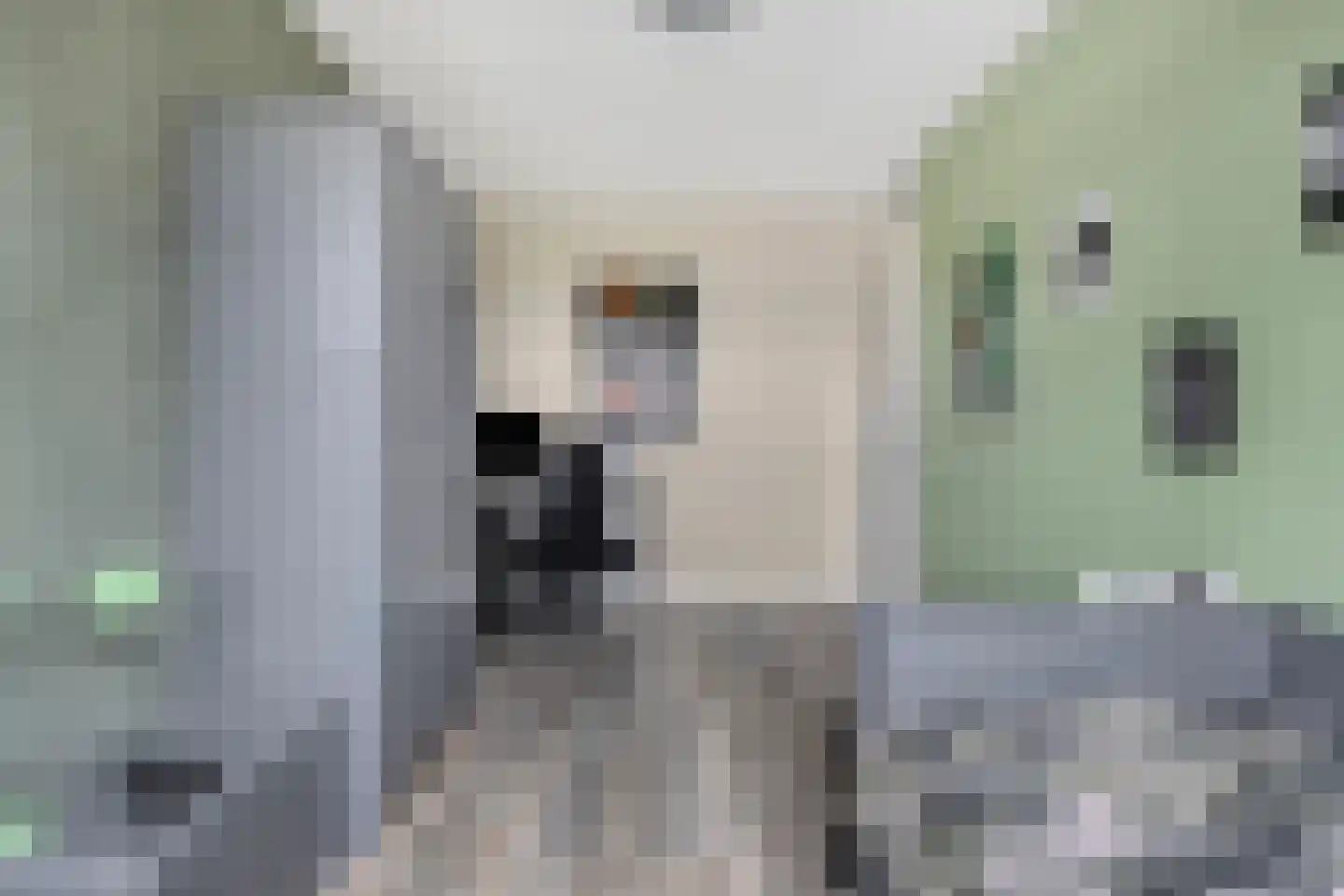 Boomgaarde 15 Hendrik-Ido-Ambacht thumbnail 22