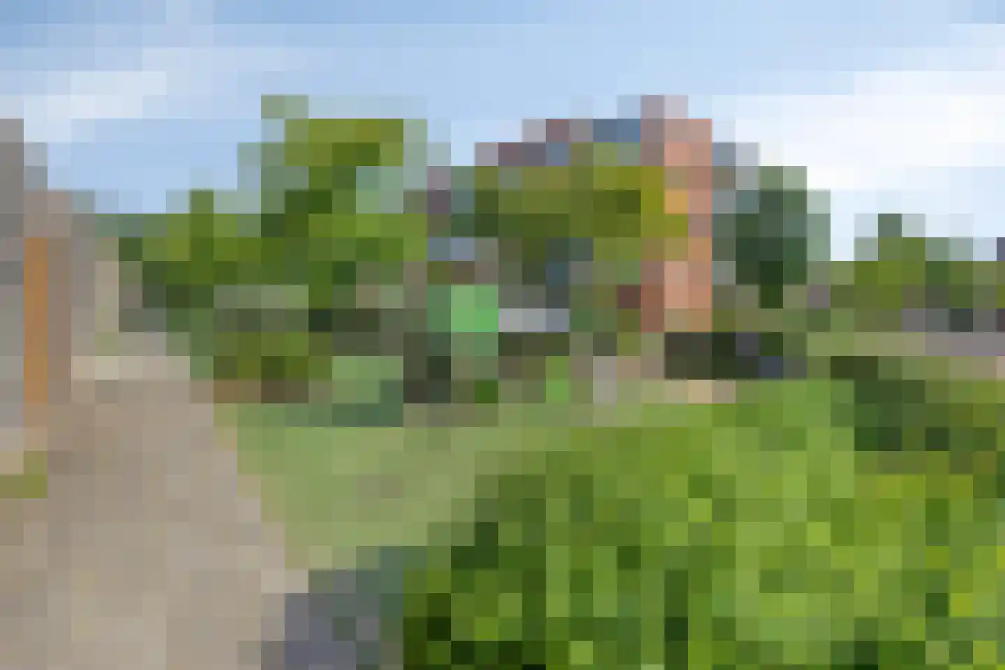 Boomgaarde 15 Hendrik-Ido-Ambacht thumbnail 27