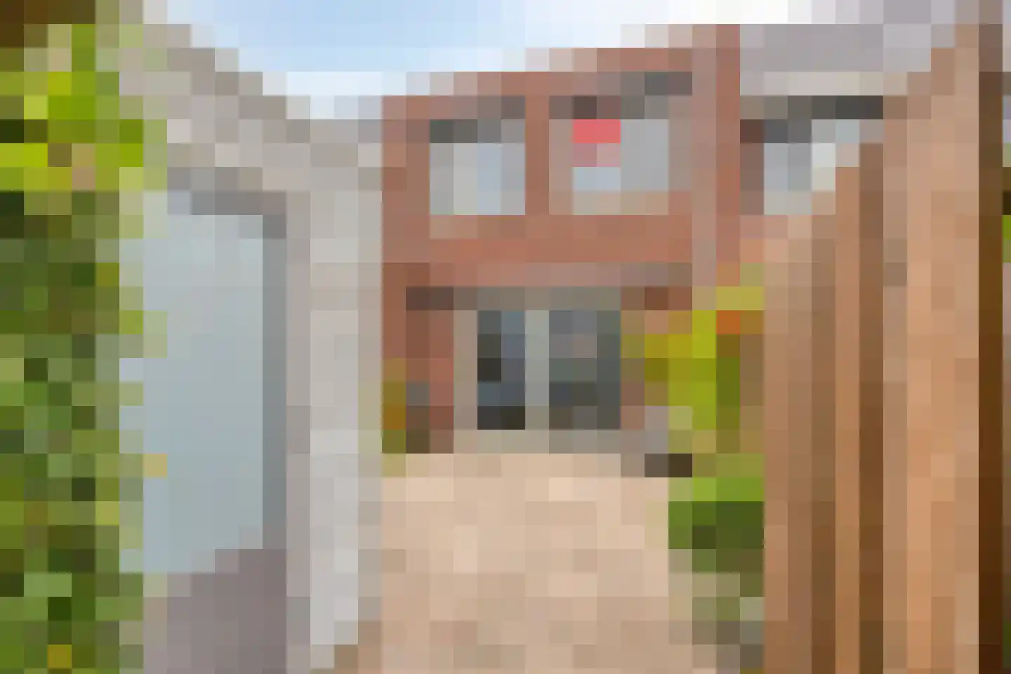 Boomgaarde 15 Hendrik-Ido-Ambacht thumbnail 33
