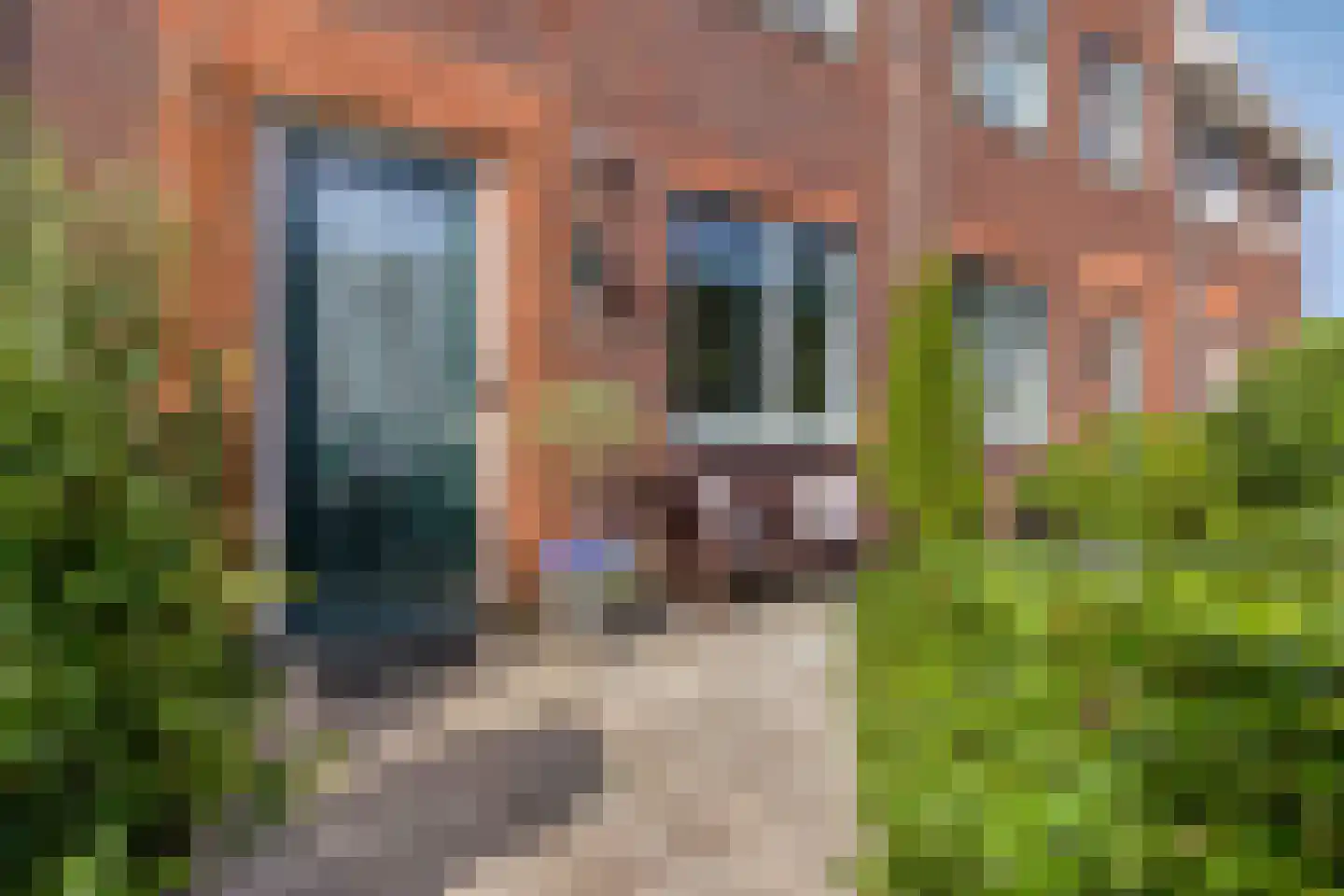 Boomgaarde 15 Hendrik-Ido-Ambacht thumbnail 4